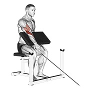 ท่า Cable One Arm Reverse Preacher Curl