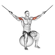 ท่า Cable Overhead Curl On Exercise Ball