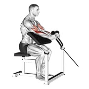 ท่า Cable Rope Hammer Preacher Curl