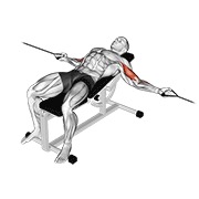 ท่า Cable Two Arm Curl On Incline Bench