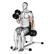 ท่า Dumbbell Alternate Seated Hammer Curl