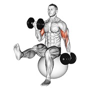 ท่า Dumbbell Alternating Bicep Curl With Leg Raised On Exercise Ball