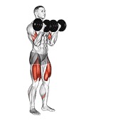 ท่า Dumbbell Bicep Curl Lunge With Bowling Motion