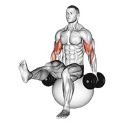 ท่า Dumbbell Bicep Curl On Exercise Ball With Leg Raised