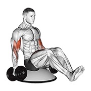 ท่า Dumbbell Biceps Curl V Sit On Bosu Ball