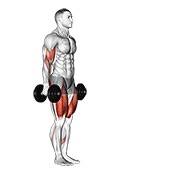 ท่า Dumbbell Lunge With Bicep Curl