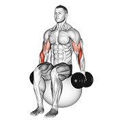 ท่า Dumbbell Hammer Curl On Exercise Ball