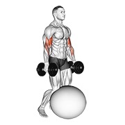 ท่า Dumbbell Kneeling Bicep Curl Exercise Ball