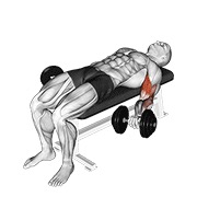 ท่า Dumbbell Lying Supine Biceps Curl