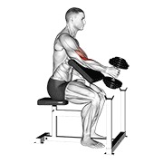 ท่า Dumbbell One Arm Hammer Preacher Curl