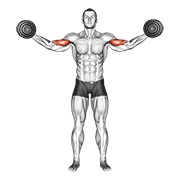 ท่า Dumbbell High Curl