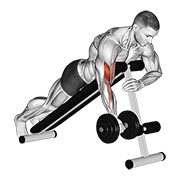 ท่า Dumbbell One Arm Prone Curl