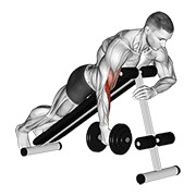 ท่า Dumbbell One Arm Prone Hammer Curl