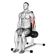 ท่า Dumbbell One Arm Seated Hammer Curl