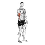 ท่า Dumbbell One Arm Standing Curl