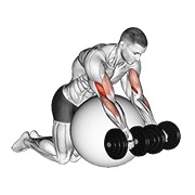 ท่า Dumbbell Preacher Curl Over Exercise Ball