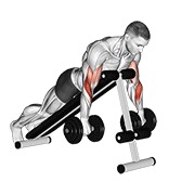 ท่า Dumbbell Reverse Spider Curl