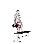ท่า Dumbbell Step Up Single Leg Balance With Bicep Curl