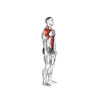 ท่า Posterior Step To Overhead Reach