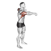 ท่า Push And Pull Bodyweight
