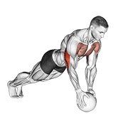 ท่า Medicine Ball Close Grip Push Up