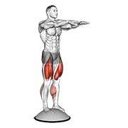 ท่า Squat On Bosu Ball