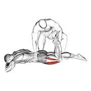 ท่า Assisted Prone Lying Quads Stretch