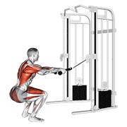 ท่า Cable Squat Row (with Rope Attachment)