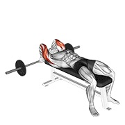 ท่า Barbell Lying Back Of The Head Tricep Extension