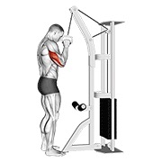 ท่า Cable One Arm Tricep Pushdown