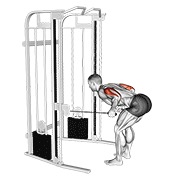 ท่า Cable Two Arm Tricep Kickback