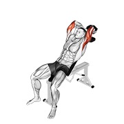 ท่า Dumbbell Incline Two Arm Extension