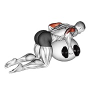 ท่า Dumbbell Kickbacks On Exercise Ball