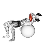 ท่า Dumbbell One Arm French Press On Exercise Ball