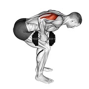 ท่า Dumbbell Standing Bent Over One Arm Triceps Extension