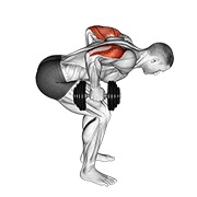 ท่า Dumbbell Standing Bent Over Two Arm Triceps Extension