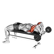 ท่า Ez Bar Lying Close Grip Triceps Extension Behind Head