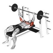 ท่า Barbell Pin Presses