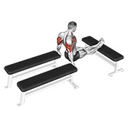 ท่า Three Bench Dip