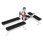 ท่า Weighted Three Bench Dips
