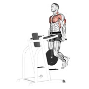 ท่า Weighted Tricep Dips