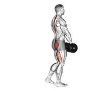 ท่า Dumbbell Single Leg Deadlift