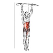 ท่า Hanging Leg Hip Raise