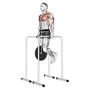 ท่า Weighted Triceps Dip On High Parallel Bars