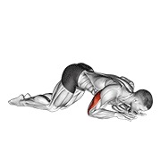 ท่า Bodyweight Kneeling Triceps Extension