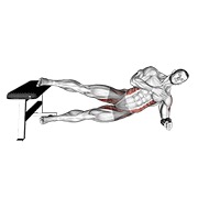 ท่า Side Plank Hip Adduction
