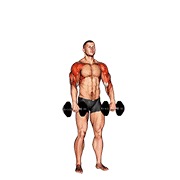 ท่า Dumbbell Cuban Press V. 2