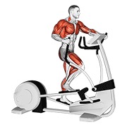 ท่า Walk Elliptical Cross Trainer