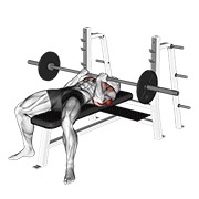 ท่า Barbell Reverse Close-grip Bench Press