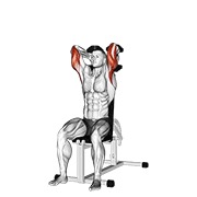 ท่า Dumbbells Seated Triceps Extension
